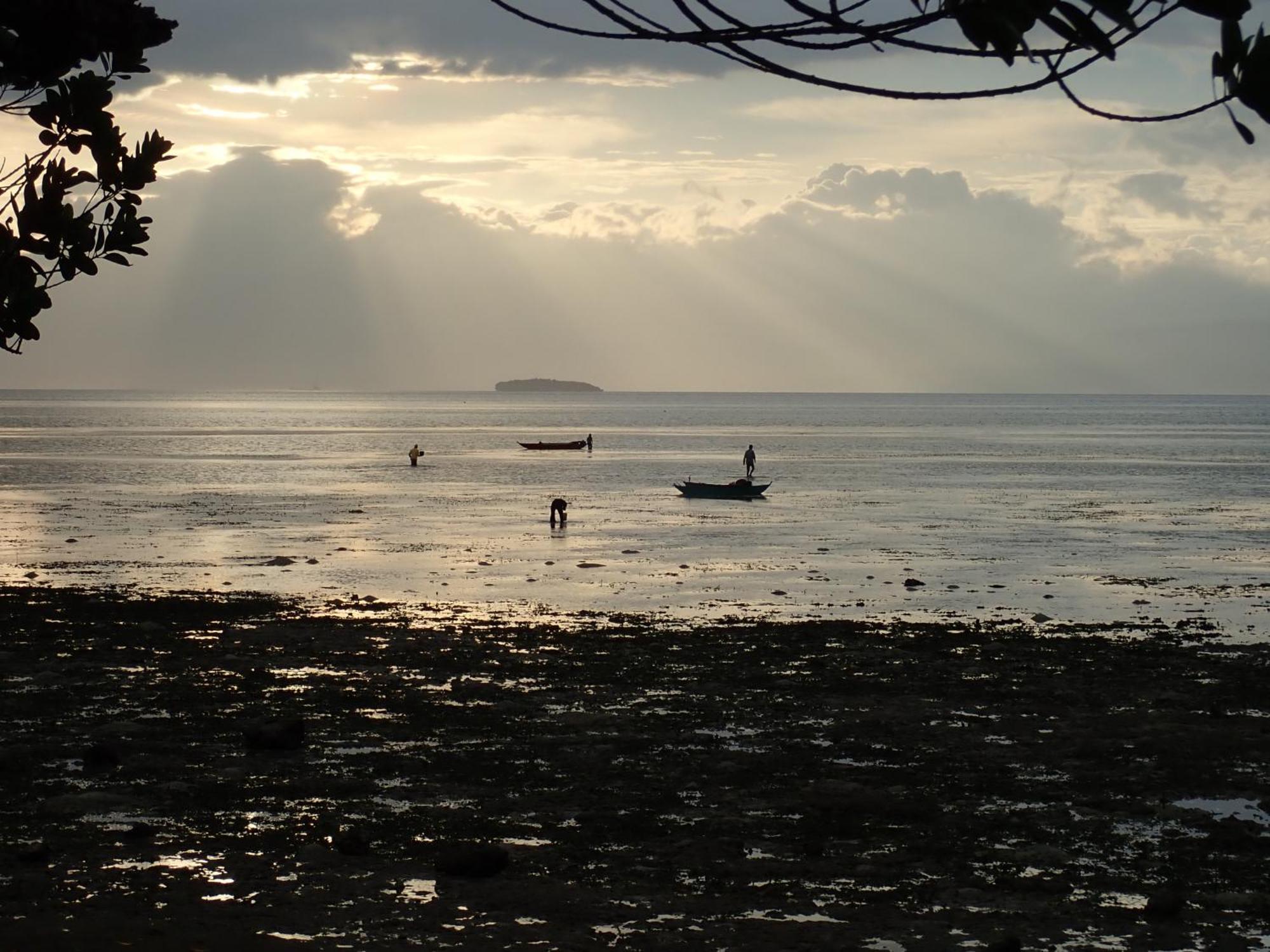Eskapo Verde Lodge Moalboal Badian Eksteriør billede